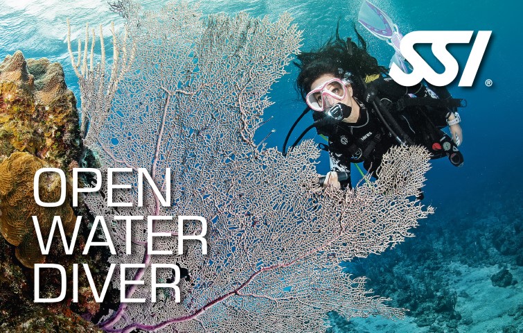 Open-Water-Diver.jpg