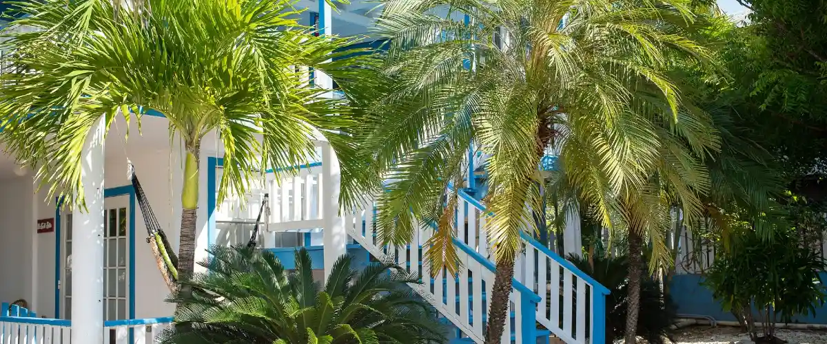 Odyssey Resort Utila Entry